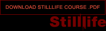 Download Stilllife Course PDF